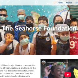 The Seahorse Foundations